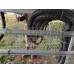 Wire Guard for Solar Farms